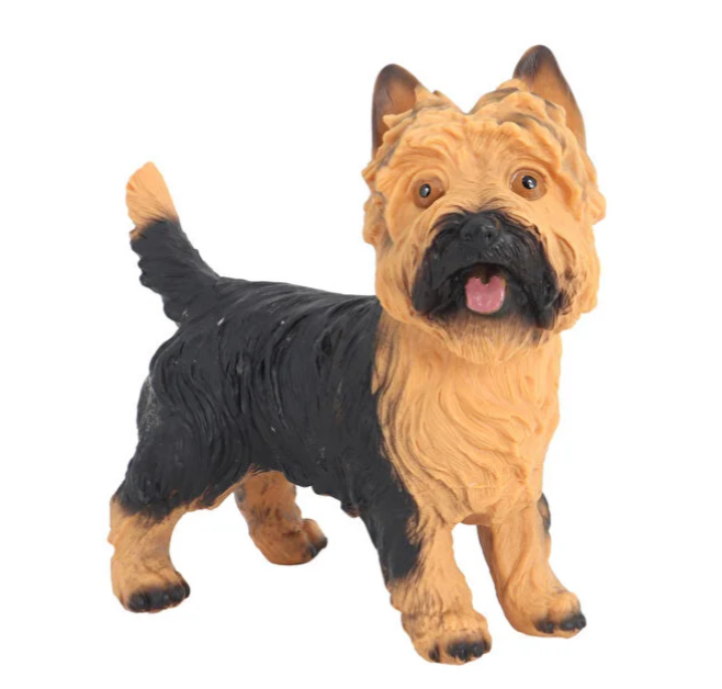 Model Köpek Sarı Siyah Yorkshire Terrier