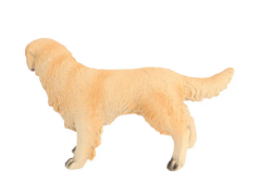 Model Köpek Ten Rengi Golden Retriever