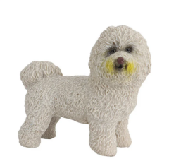 Model Köpek Bichon Frise