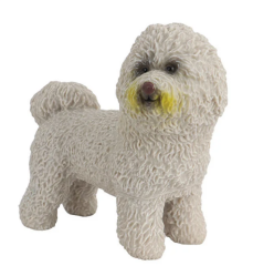 Model Köpek Bichon Frise