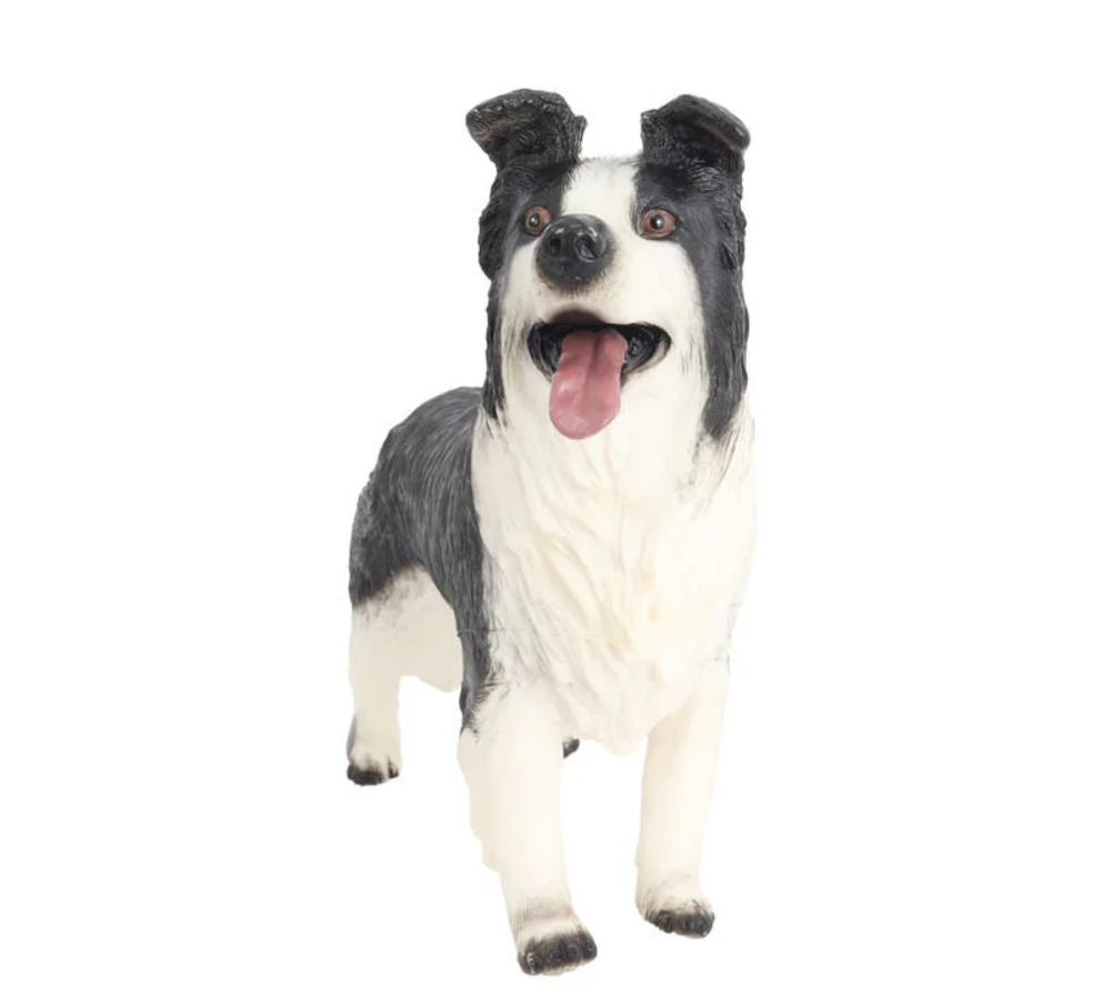 Model Köpek Siyah Beyaz Lessie