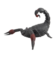 Strech Kahverengi Akrep