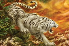 KS Puzzle 1000 Parça White Tiger Beyaz Kaplan