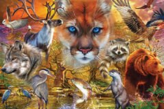 KS Puzzle 1000 Parça North American Animals