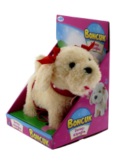 Dansçı Köpeğim Boncuk
