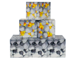 Megacraft 9 Parça Altın Kömür Blok